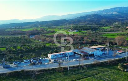 Muğla Yatağan Hisarardında Satılık Zeytinyağı Fabrikası