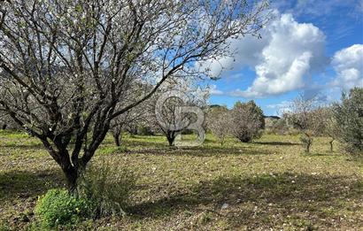 Datça Karaköy’de Eşsiz Yatırım Fırsatı – 6.043 m² Satılık Arsa
