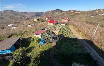 TRABZON ARSİN'DE 1600 m² ARSA İÇİNDE MÜSTAKİL YAŞAM ALANI