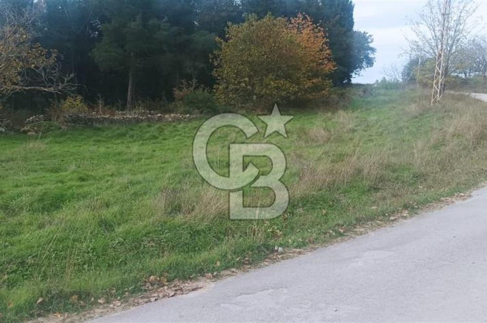 ÇANAKKALE LAPSEKİ BEYBAŞ KÖYÜNDE VİLLA İMARLI SATILIK ARSA