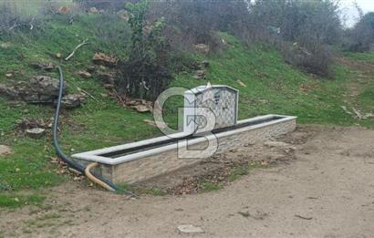 ÇANAKKALE LAPSEKİ BEYBAŞ KÖYÜNDE VİLLA İMARLI SATILIK ARSA