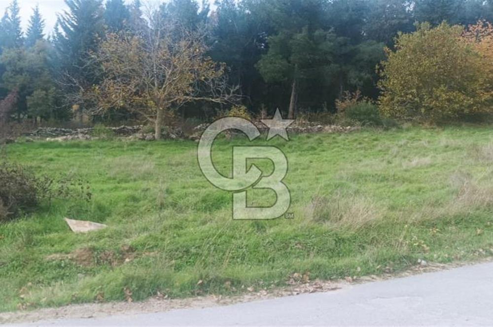 ÇANAKKALE LAPSEKİ BEYBAŞ KÖYÜNDE VİLLA İMARLI SATILIK ARSA