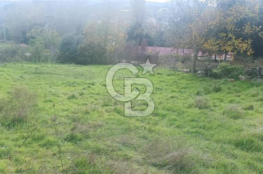 ÇANAKKALE LAPSEKİ BEYBAŞ KÖYÜNDE VİLLA İMARLI SATILIK ARSA