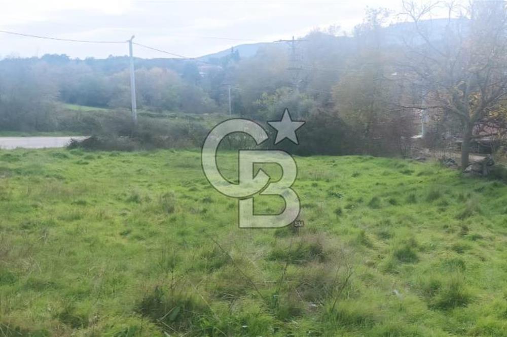 ÇANAKKALE LAPSEKİ BEYBAŞ KÖYÜNDE VİLLA İMARLI SATILIK ARSA