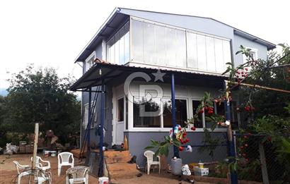Kemalpaşa Ören’de Satılık Besi Damlı Çiftlik Evi