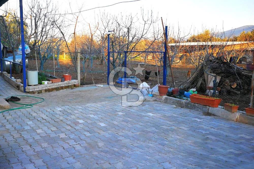 Kemalpaşa Ören’de Satılık Besi Damlı Çiftlik Evi