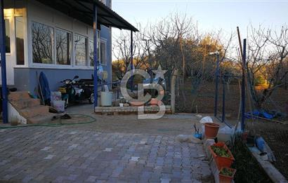 Kemalpaşa Ören’de Satılık Besi Damlı Çiftlik Evi