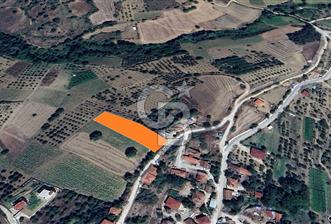 ÖMER ÜNSAL'DAN GEYVENİN GÖZDESİ ÇUKURKÖY'DE 2529 m2 PARSEL - 1 - 334393