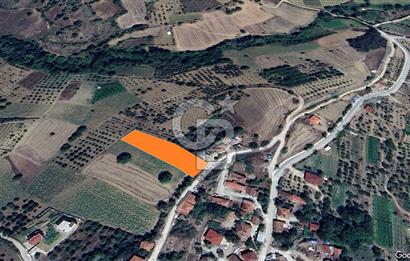 ÖMER ÜNSAL'DAN GEYVENİN GÖZDESİ ÇUKURKÖY'DE 2529 m2 PARSEL