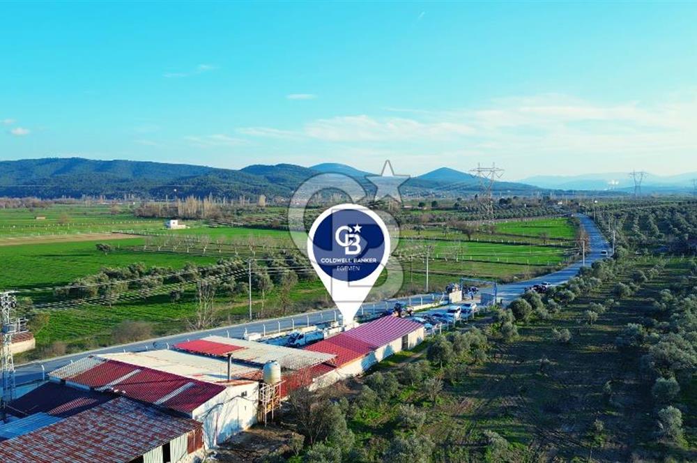 Muğla Yatağan Hisarardında Satılık Zeytinyağı Fabrikası