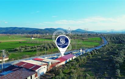 Muğla Yatağan Hisarardında Satılık Zeytinyağı Fabrikası