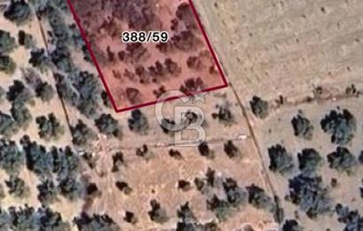 İzmir Kemalpaşa Sütçüler Mh. Müstakil Tapulu Arsa CB PH