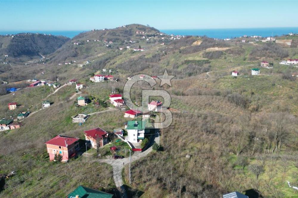 TRABZON ARSİN'DE 1600 m² ARSA İÇİNDE MÜSTAKİL YAŞAM ALANI