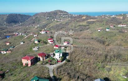 TRABZON ARSİN'DE 1600 m² ARSA İÇİNDE MÜSTAKİL YAŞAM ALANI