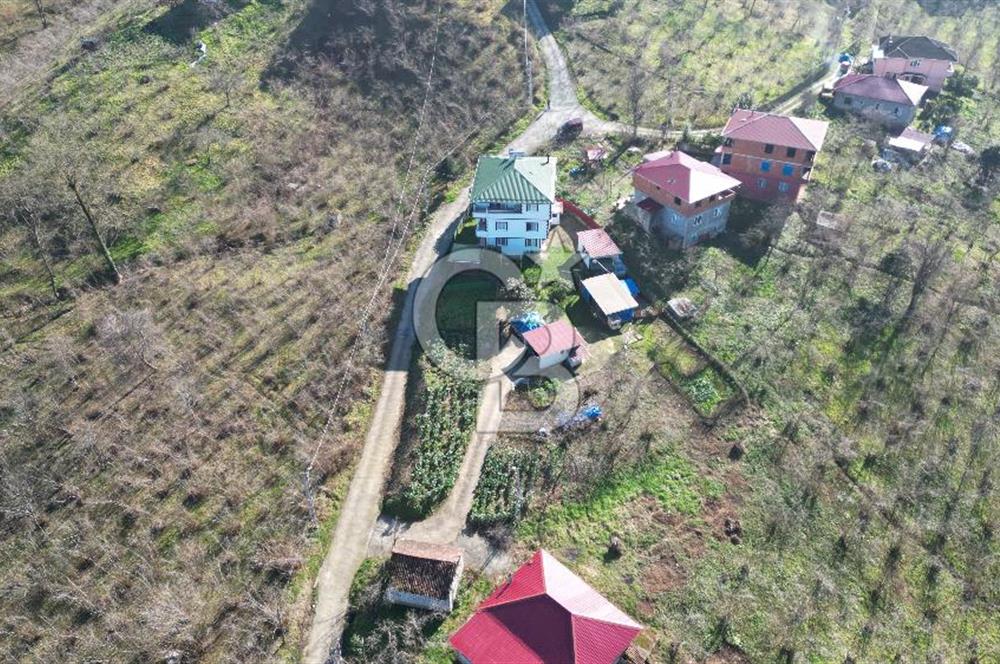 TRABZON ARSİN'DE 1600 m² ARSA İÇİNDE MÜSTAKİL YAŞAM ALANI