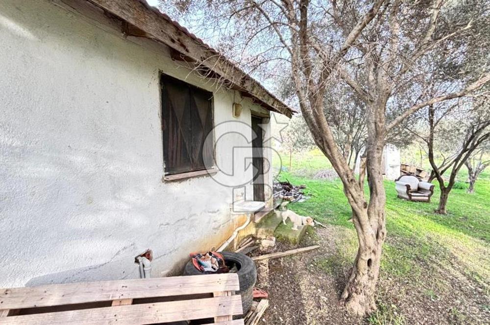 İzmir Kemalpaşa Sütçüler Mh. Müstakil Tapulu Arsa CB PH