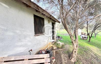 İzmir Kemalpaşa Sütçüler Mh. Müstakil Tapulu Arsa CB PH