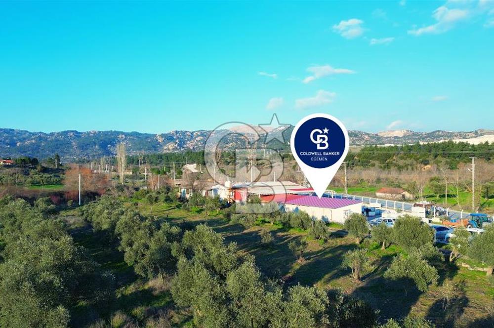 Muğla Yatağan Hisarardında Satılık Zeytinyağı Fabrikası