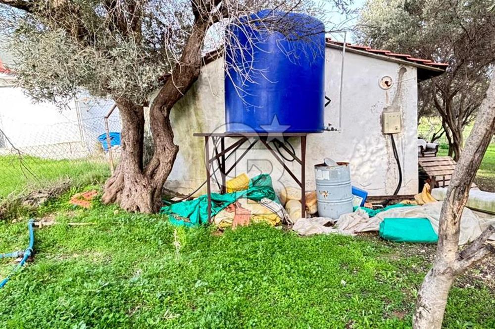 İzmir Kemalpaşa Sütçüler Mh. Müstakil Tapulu Arsa CB PH