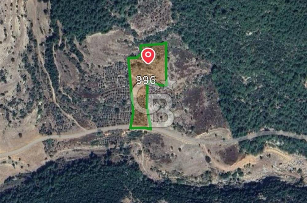 Mersin/Tarsus /Karakütük Köyünde Yatırım Değerli Satılık Tarla