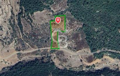 Mersin/Tarsus /Karakütük Köyünde Yatırım Değerli Satılık Tarla