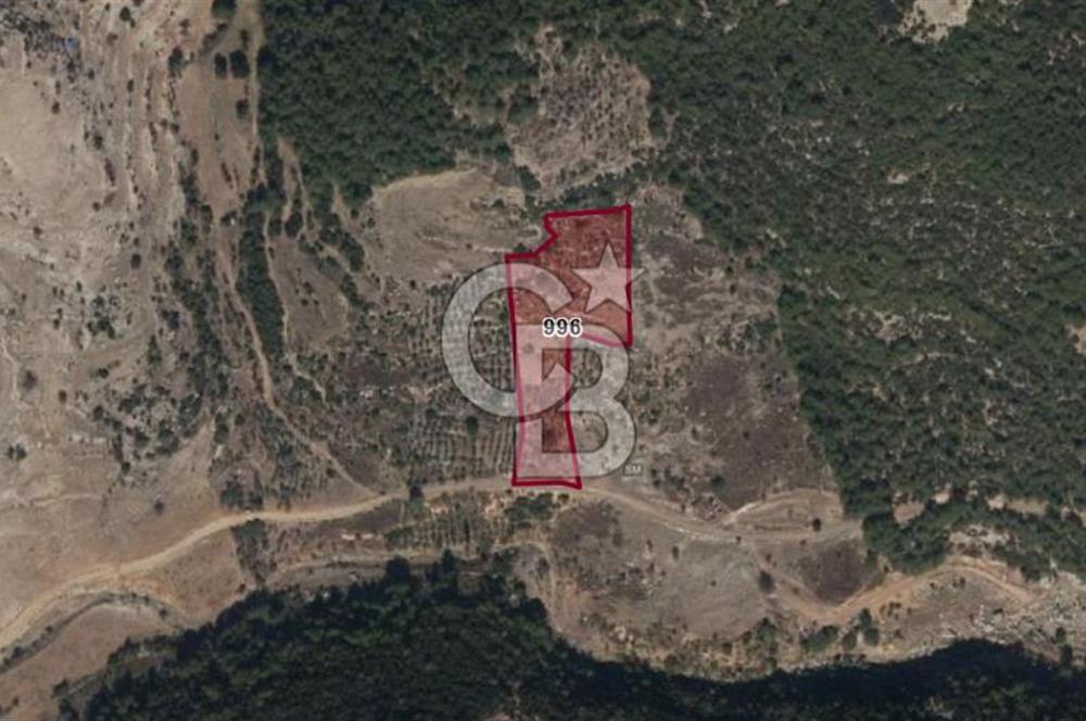 Mersin/Tarsus /Karakütük Köyünde Yatırım Değerli Satılık Tarla