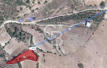 Mersin, Tarsus, Karakutuk'te Tarla.Bu Fiyata 1.800 m² Kaçmaz!