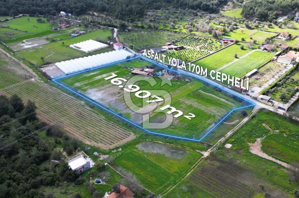 Urla Kuşçular'da Satılık 16.907,37 m2 Arazi