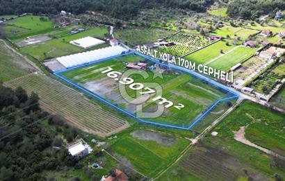 Urla Kuşçular'da Satılık 16.907,37 m2 Arazi