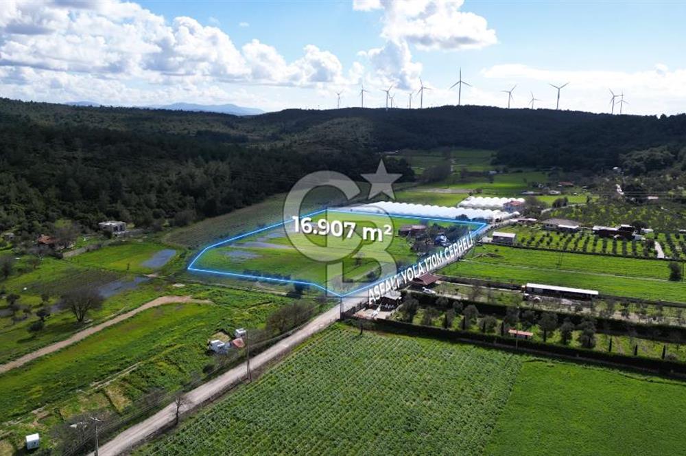 Urla Kuşçular'da Satılık 16.907,37 m2 Arazi