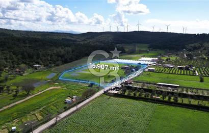 Urla Kuşçular'da Satılık 16.907,37 m2 Arazi