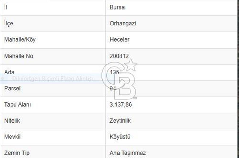 ORHANGAZİ HECELER GÖL MANZARALI 3.137 M2 SATILIK ZEYTİNLİK