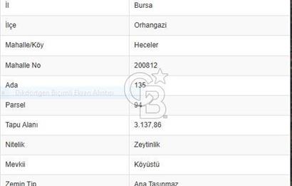 ORHANGAZİ HECELER GÖL MANZARALI 3.137 M2 SATILIK ZEYTİNLİK