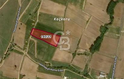 Kırklareli, Pınarhisar İslambeyli’de Satılık 13.705 m2 Tarla.