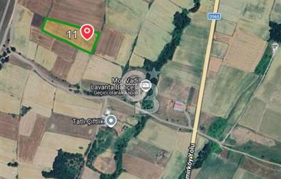 Kırklareli, Pınarhisar İslambeyli’de Satılık 13.705 m2 Tarla.