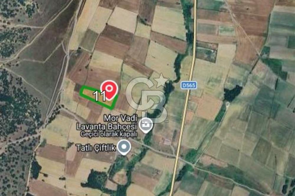 Kırklareli, Pınarhisar İslambeyli’de Satılık 13.705 m2 Tarla.