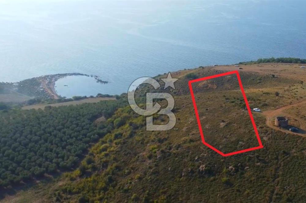 MUDANYA YEL DEĞİRMENİ KAPANCA ANTİK LİMANI YANI KAÇMAZ FIRSAT