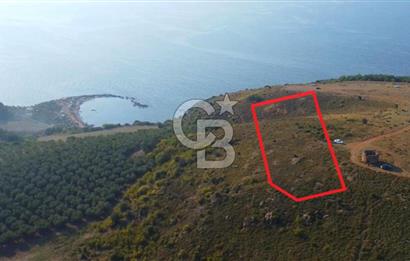 MUDANYA YEL DEĞİRMENİ KAPANCA ANTİK LİMANI YANI KAÇMAZ FIRSAT