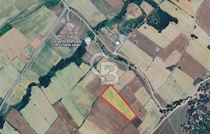 Kırklareli, Pınarhisar İslambeyli’de Satılık 13.705 m2 Tarla.