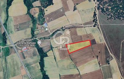 Kırklareli, Pınarhisar İslambeyli’de Satılık 13.705 m2 Tarla.