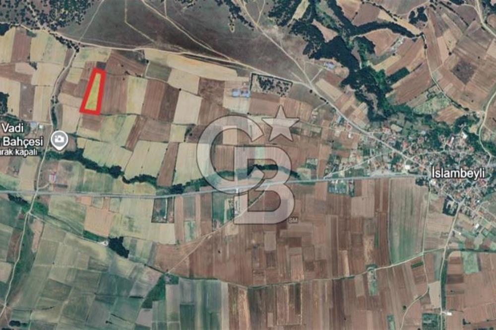 Kırklareli, Pınarhisar İslambeyli’de Satılık 13.705 m2 Tarla.