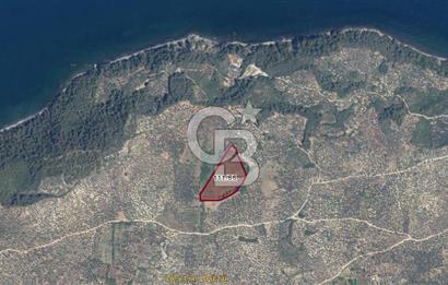 BURSA MUDANYA HALİLBEY'DE YATIRIMLIK TARLA DEĞERLİ LOKASYONDA