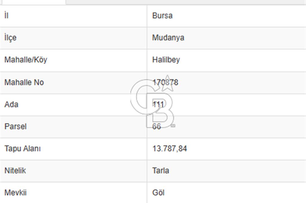 BURSA MUDANYA HALİLBEY'DE YATIRIMLIK TARLA DEĞERLİ LOKASYONDA