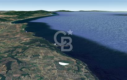 BURSA MUDANYA HALİLBEY'DE YATIRIMLIK TARLA DEĞERLİ LOKASYONDA