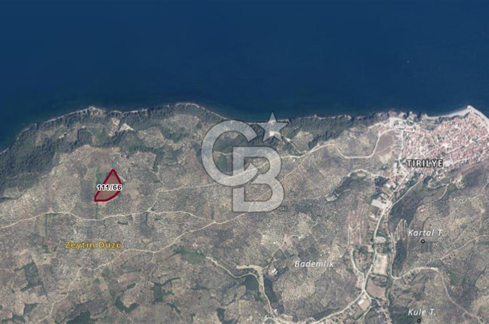 BURSA MUDANYA HALİLBEY'DE YATIRIMLIK TARLA DEĞERLİ LOKASYONDA