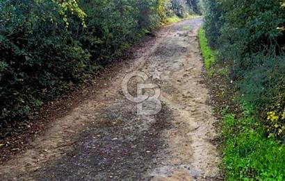 Biga Akpınar Köyü’nde Resmi Yol Cepheli, Gölet Yakınında Yatırımlık Tarla