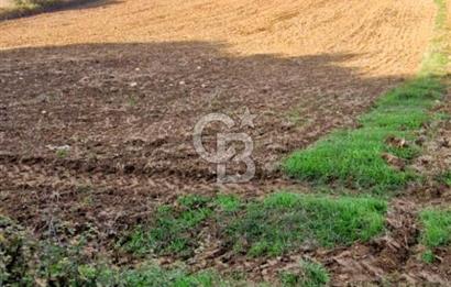 Biga Akpınar Köyü’nde Resmi Yol Cepheli, Gölet Yakınında Yatırımlık Tarla