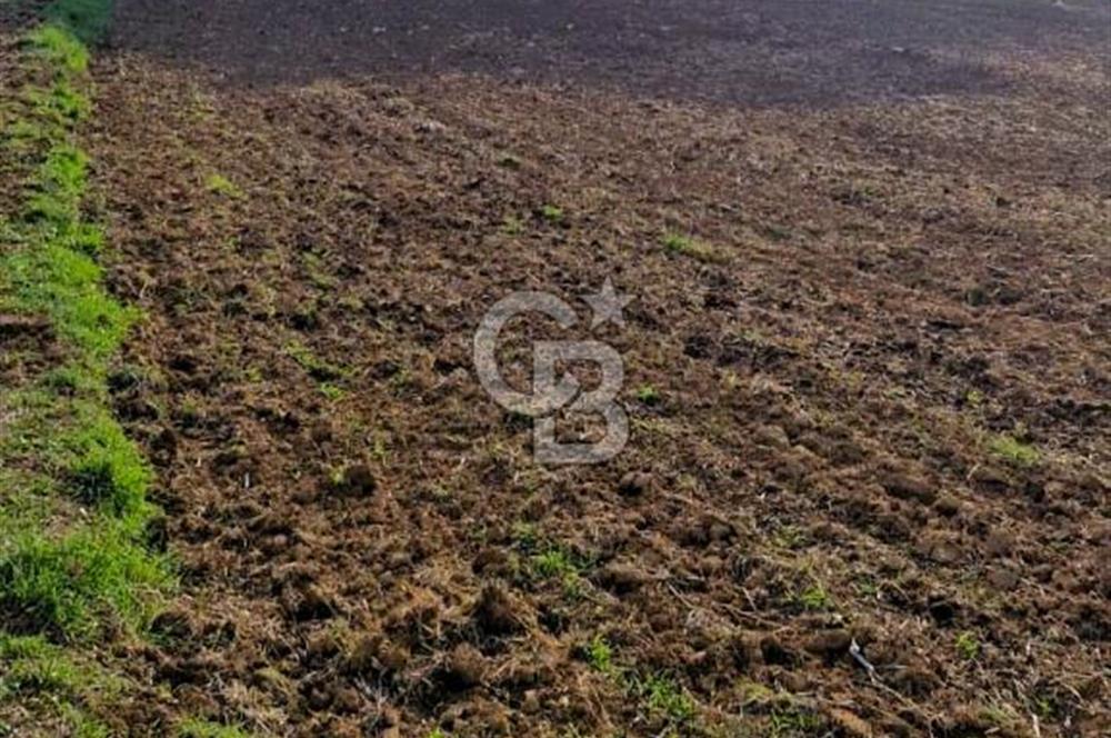 Biga Akpınar Köyü’nde Resmi Yol Cepheli, Gölet Yakınında Yatırımlık Tarla