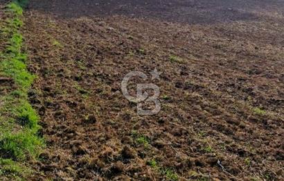 Biga Akpınar Köyü’nde Resmi Yol Cepheli, Gölet Yakınında Yatırımlık Tarla