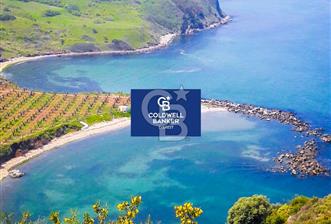 MUDANYA YEL DEĞİRMENİ KAPANCA ANTİK LİMANI YANI KAÇMAZ FIRSAT - 8 - 334646